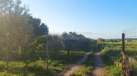 Campo rústico con construcción
