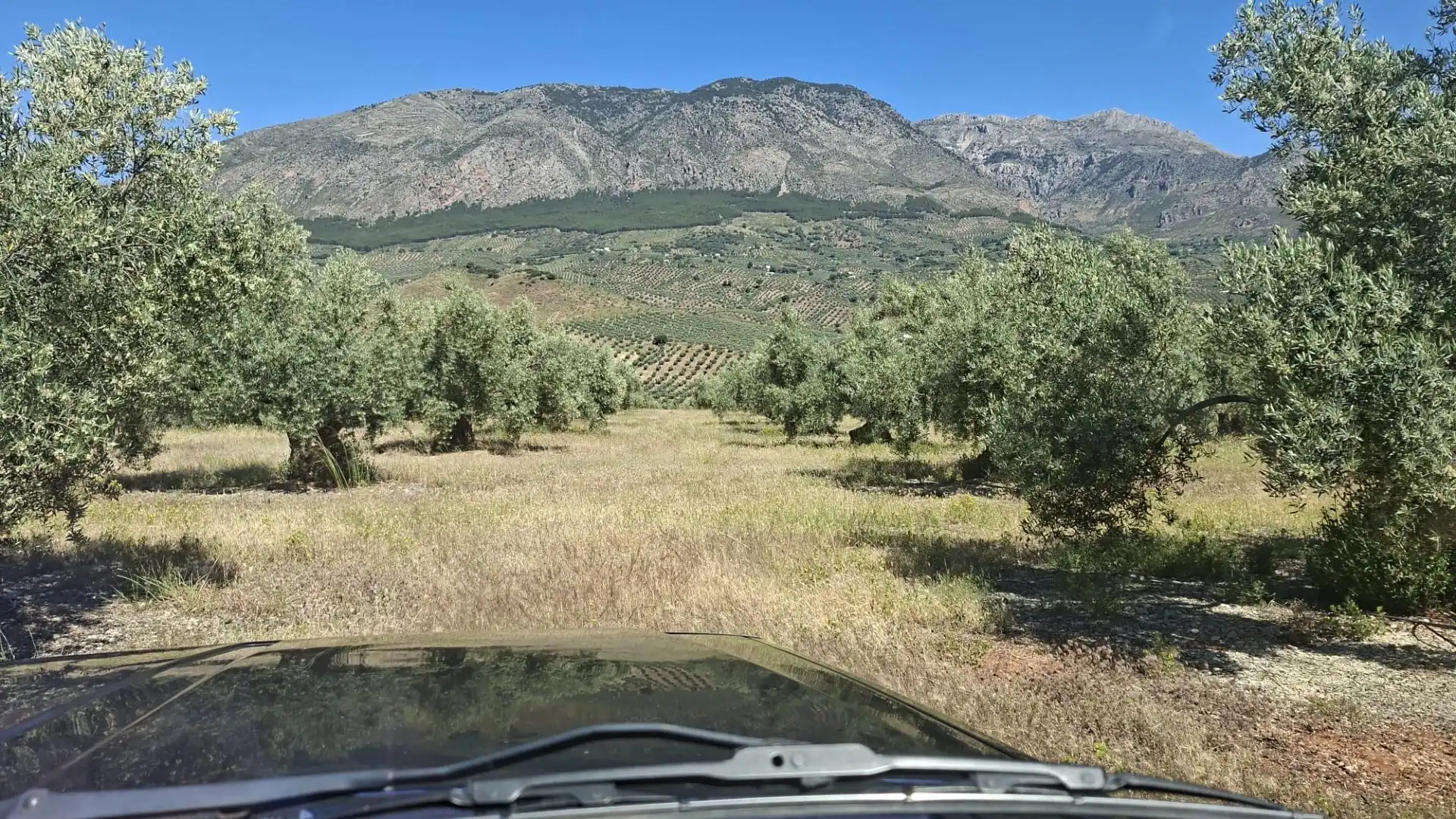 Terreny rústic en venda a Rois