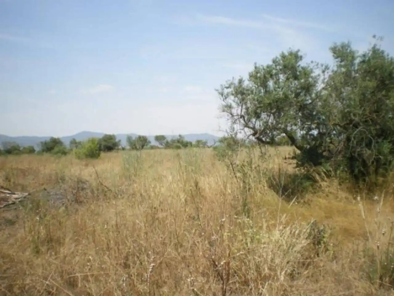 Wohnbaugrundstück zum Verkauf in Carretera VALLS - ALIO (POL. 9 PARC. 87) (POL.12 PAR.79), imagen 2