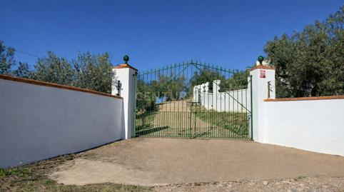 Photo 5 of House or chalet for sale in Diseminado Castelar, 54, 06300 Zafra, Badajoz, Spa, 54, Zafra, Badajoz