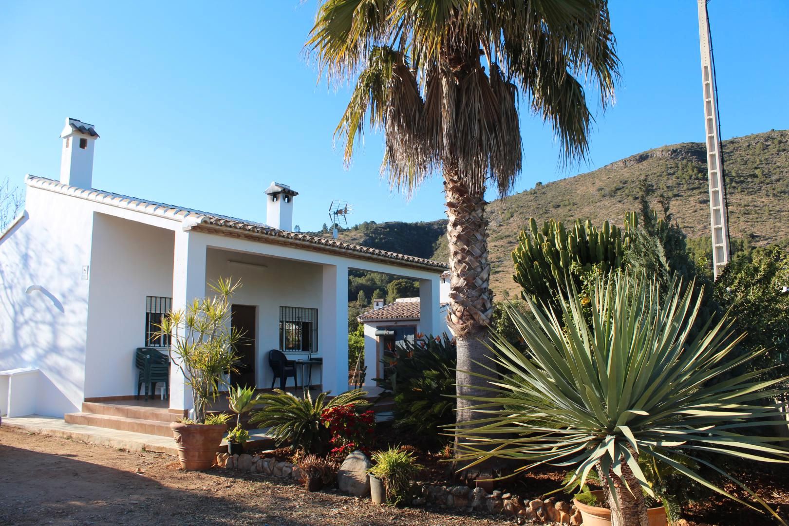 Vista exterior de Casa o xalet de lloguer en Pego amb Jardí privat, Terrassa i Traster
