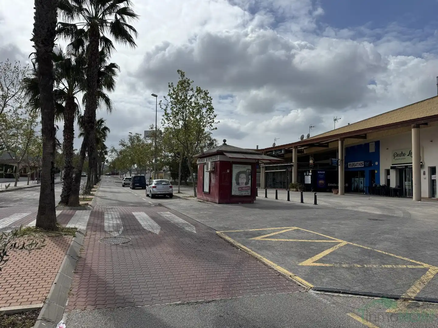 Local comercial en venta en Pedanías Oeste, imagen 12
