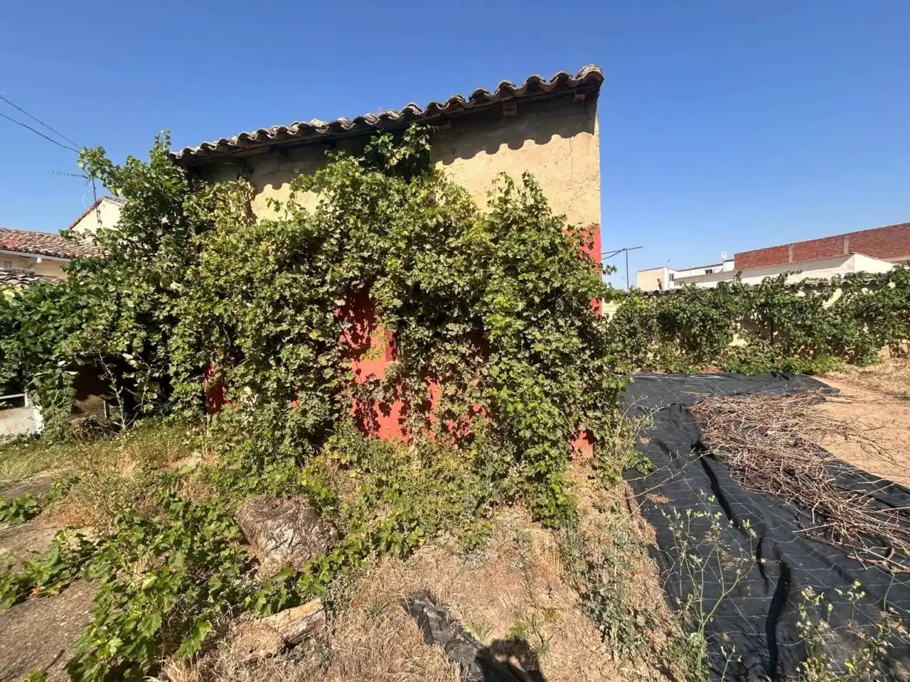 Vista exterior de Casa o xalet en venda en Melgar de Fernamental amb Jardí privat