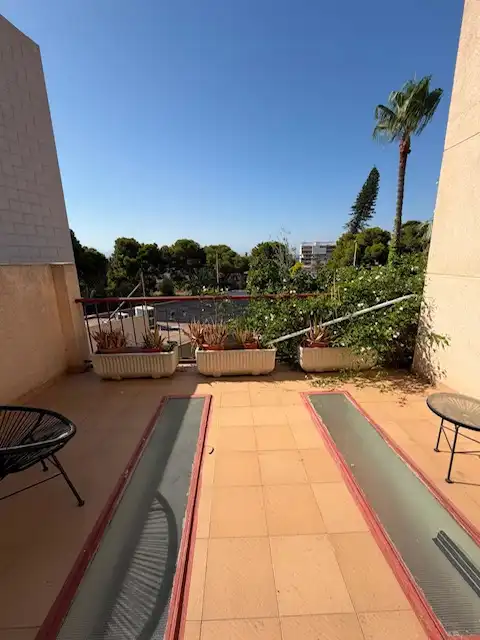 Villa con terrazza in vendita a Avinguda Albufereta, imagen 32
