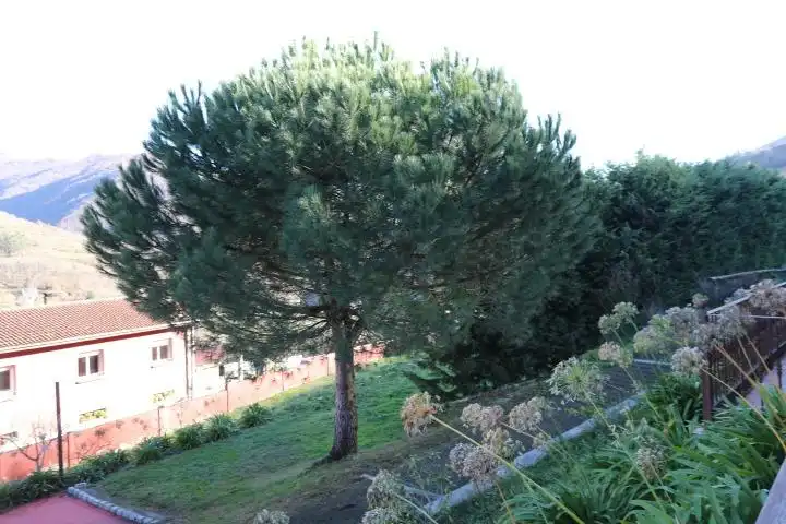 Jardí de Finca rústica en venda en Quirós amb Calefacció, Jardí privat i Terrassa