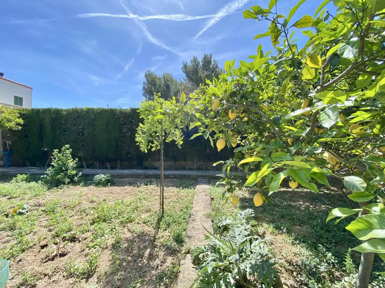 Haus oder Chalet zum Verkauf in  Palma de Mallorca mit Privatgarten, Terrasse und Abstellraum