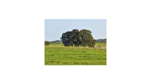 PARCELA ARROYO DE LA LUZ