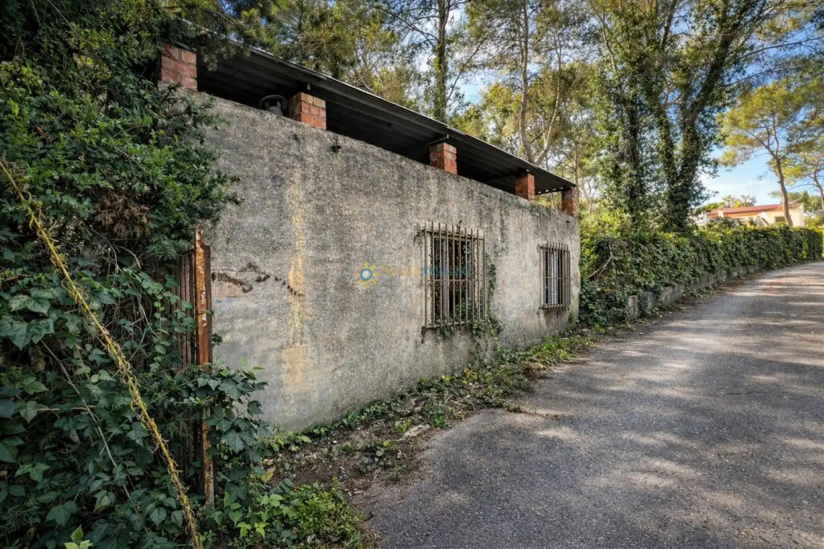 Vista exterior de Finca rústica en venda en L'Olleria amb Terrassa