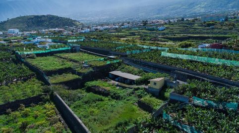 Foto 5 de Terreno en venta en Carretera Carretera Dehesas, San Antonio - Las Arenas, Puerto de la Cruz