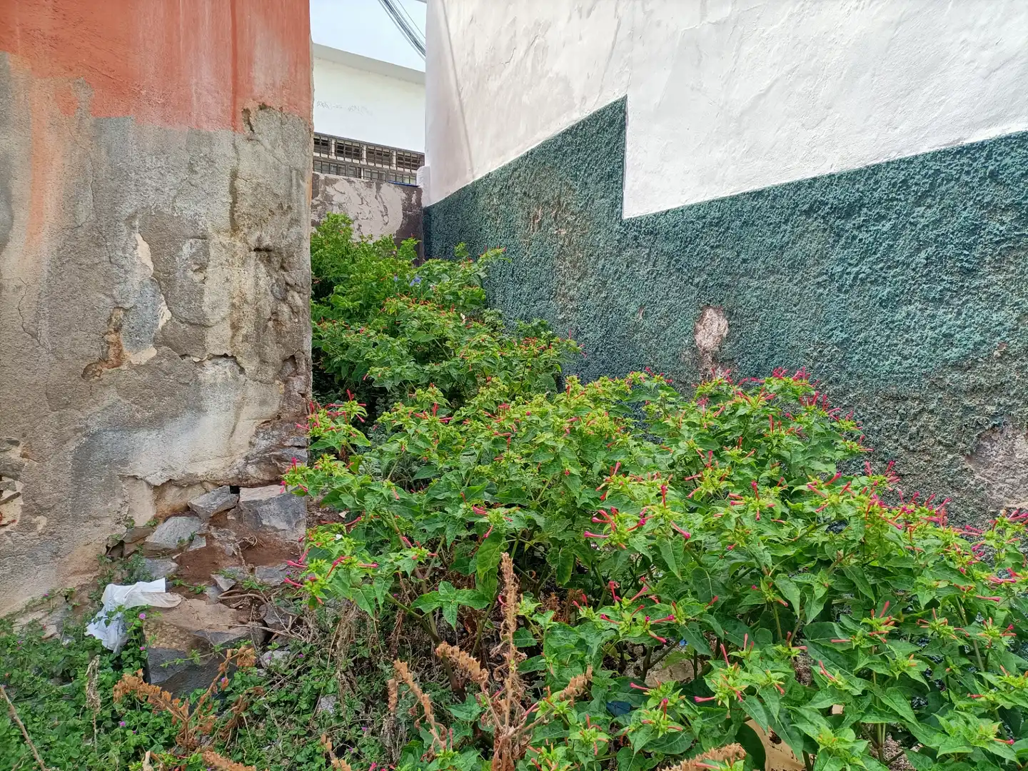 Vista exterior de Residencial en venta en San Cristóbal de la Laguna