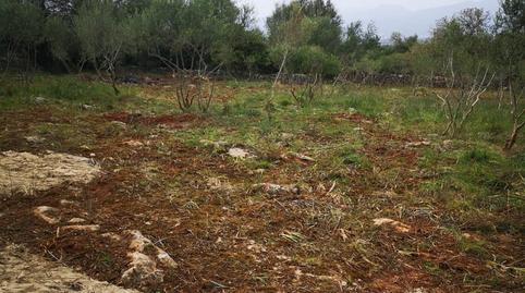 Photo 3 of Country house for sale in Costitx, Illes Balears