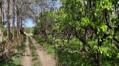 Foto 2 de Terreno en venta en Urbanitzacions i Pedanies Nord, Alzira