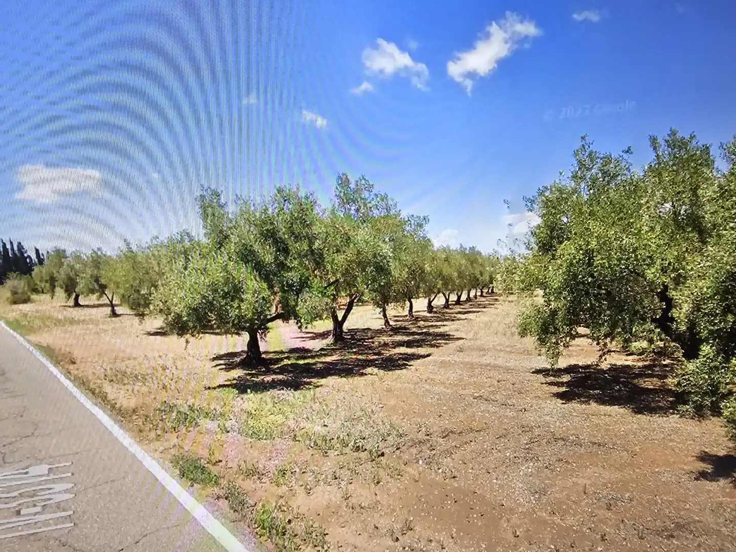 Rural land for sale in Godall, imagen 7