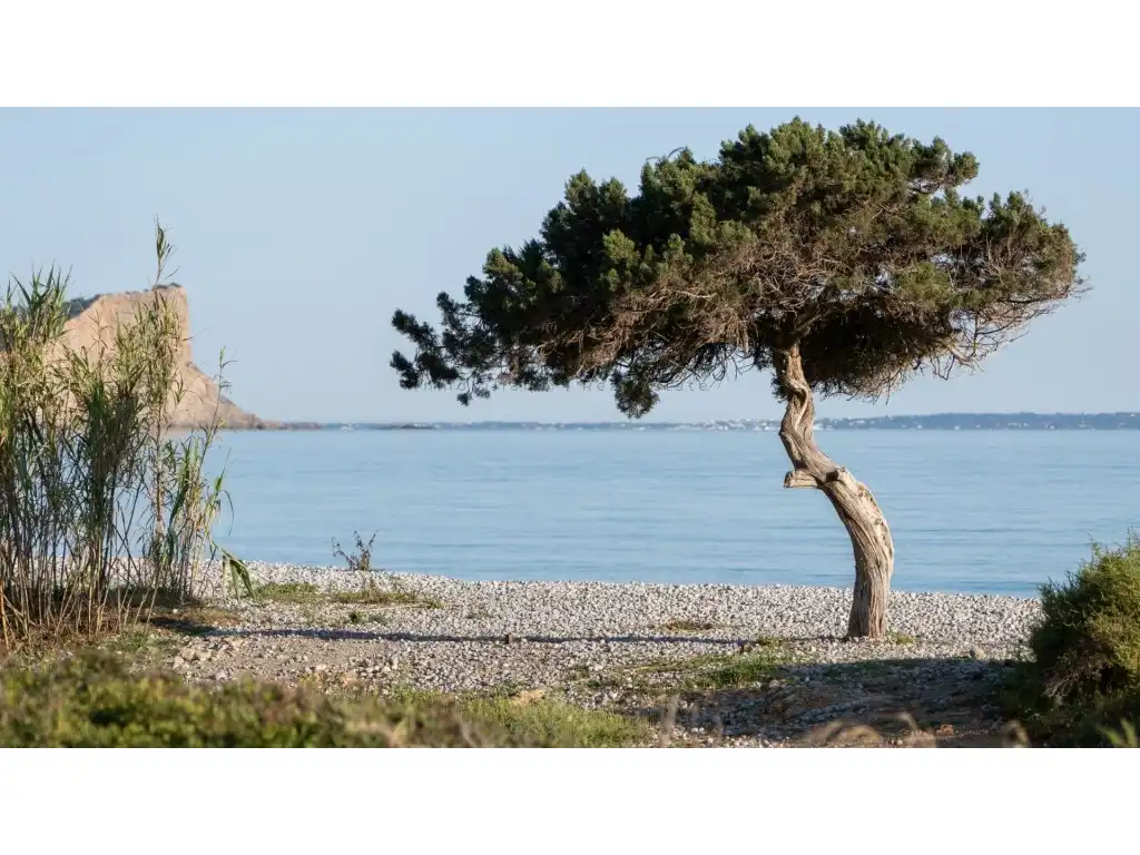 Casa o xalet en venda en Sant Jordi de Ses Salines - Sant Francesc 