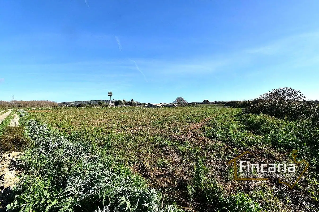 Country house zum Verkauf in Manacor