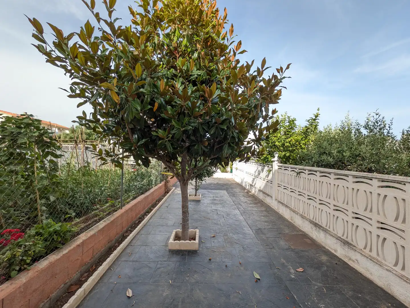 Vista exterior de Casa adosada en venta en Creixell con Aire acondicionado, Jardín privado y Terraza