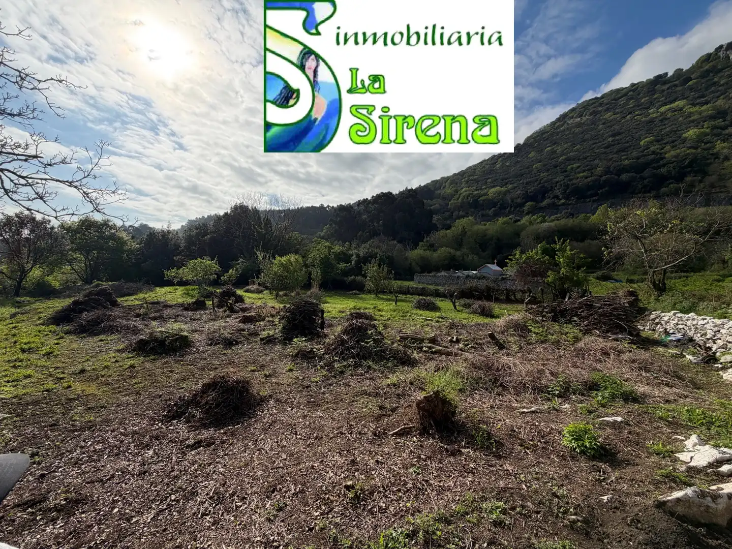 Terreni e lotti in vendita a N/A 65A