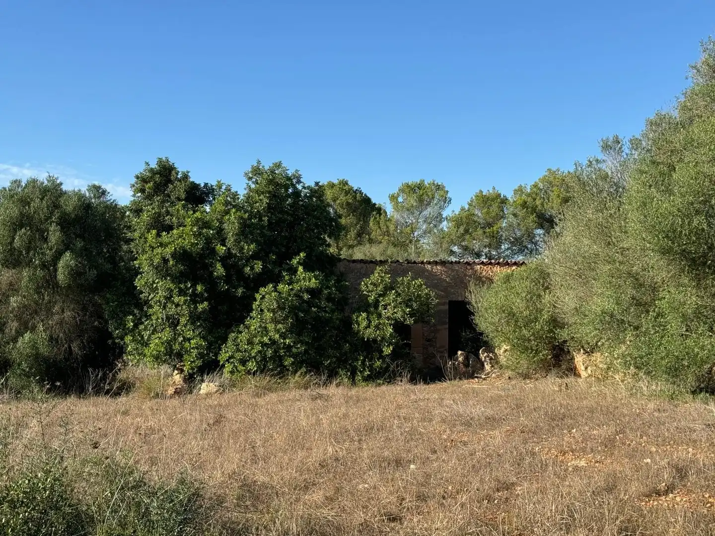Terreno rustico in vendita a Carrer Major, imagen 3