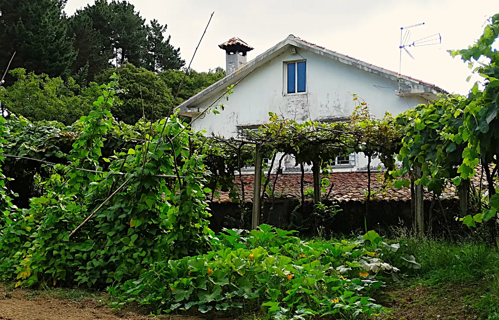 Jardí de Finca rústica en venda en Narón amb Calefacció, Jardí privat i Parquet