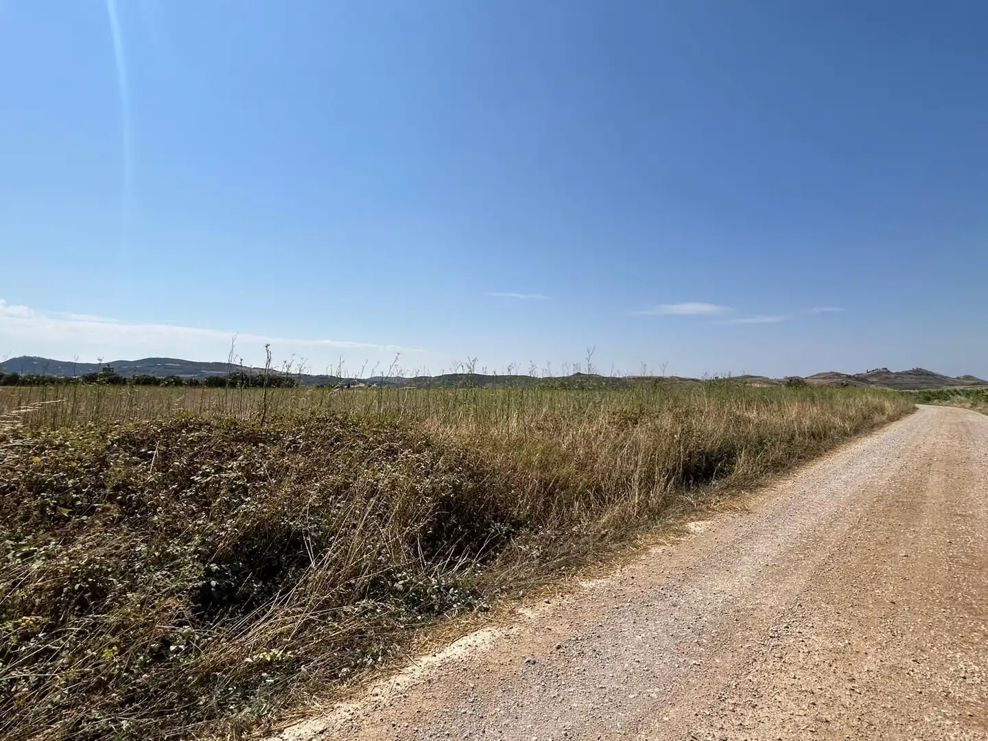 Terreny rústic en venda a 123 poligono 3, imagen 4