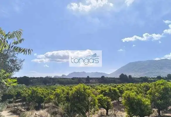 Terreny rústic en venda a Vallés, imagen 12