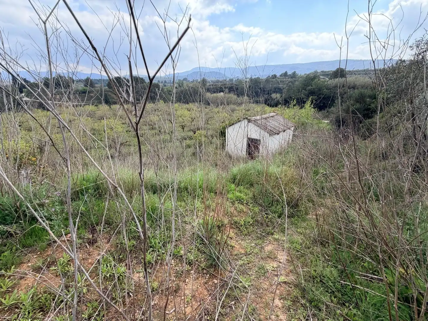 Rural land for sale in Benissoda, imagen 4