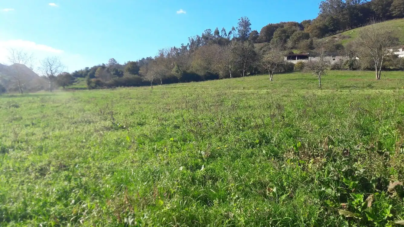 Terrenos y solares en venta en Bode, imagen 16