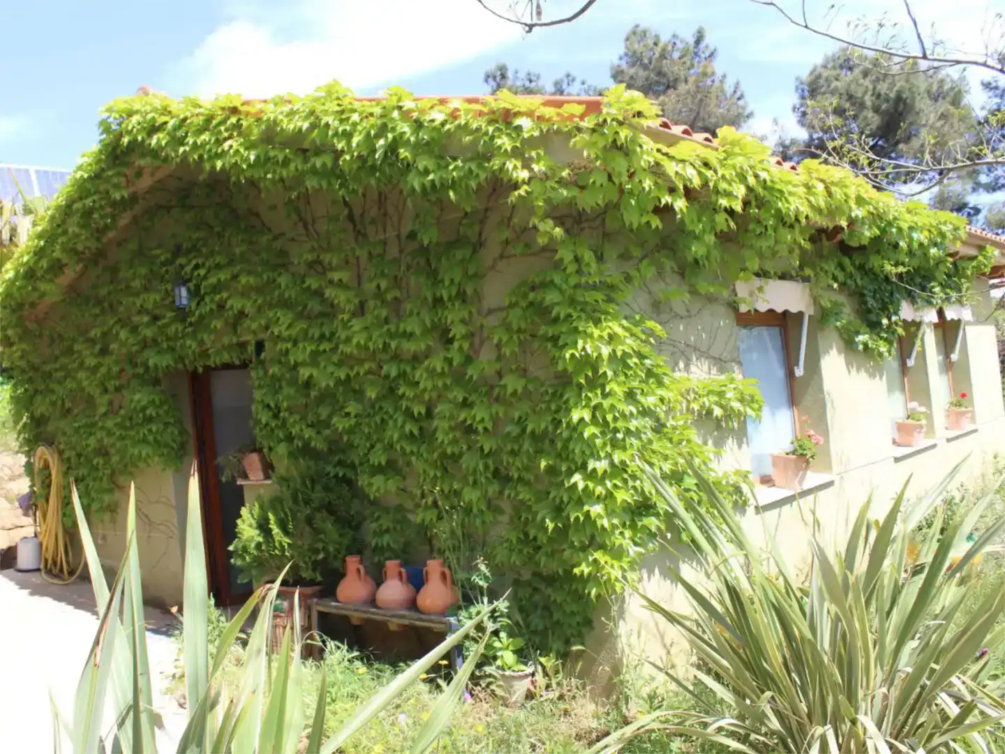 Jardín de Casa o chalet en venta en Villasbuenas de Gata, Cáceres