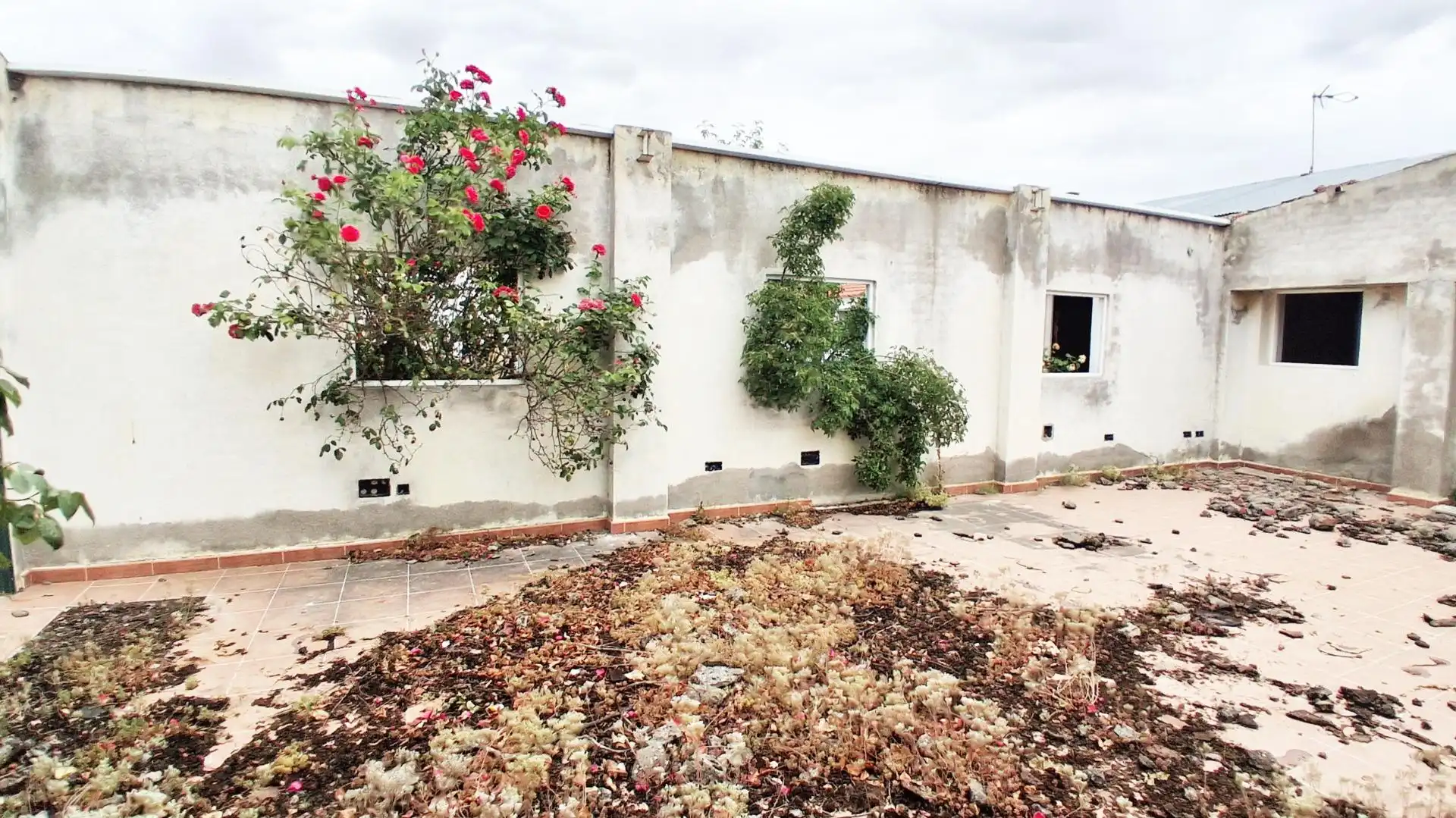 Terrenos y solares en venta en Cantalapiedra, imagen 16