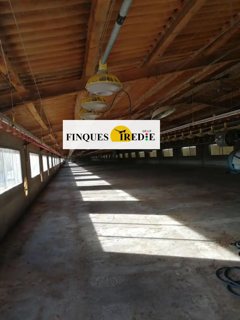 Business premises for sale in L'Ampolla, imagen 15
