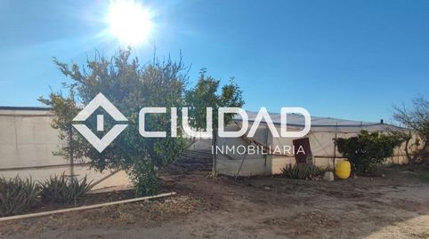 Photo 4 of Land for sale in Lebrija, Sevilla