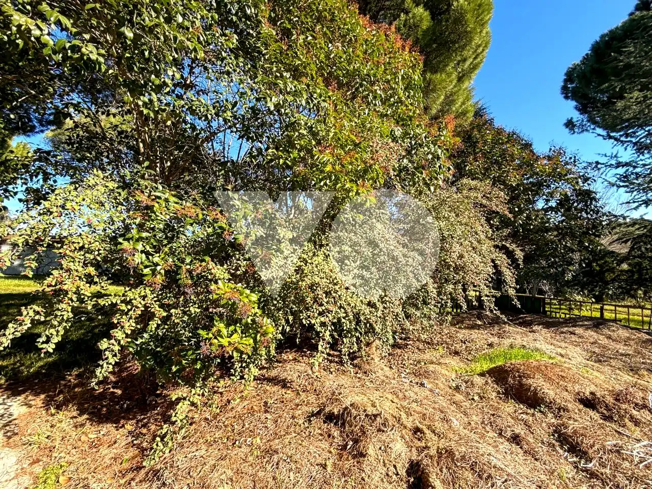 Casa o chalet en venta en Ribatejada con Jardín privado, Terraza y Piscina