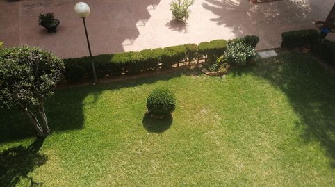 Foto 3 de Apartament de lloguer a Avinguda de la Constitució, Platja de la Pobla de Farnals, La Pobla de Farnals