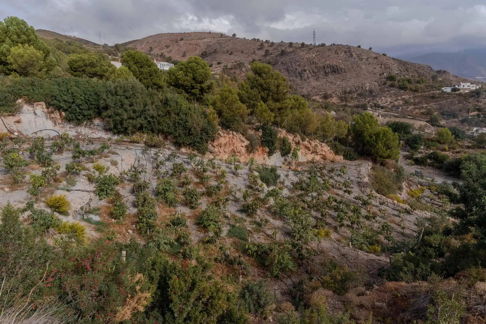 Terreni e lotti in vendita a PHPX+WF Gualchos, Spain, imagen 37