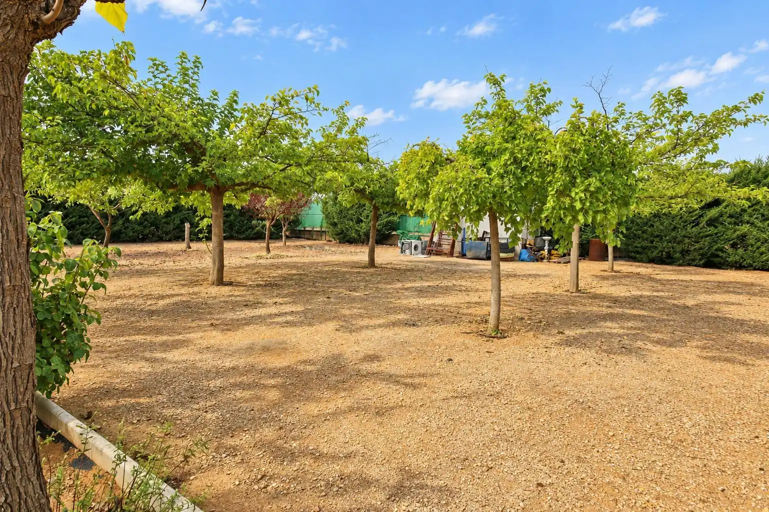 Villa con piscina in vendita a Argamasilla de Alba, imagen 11