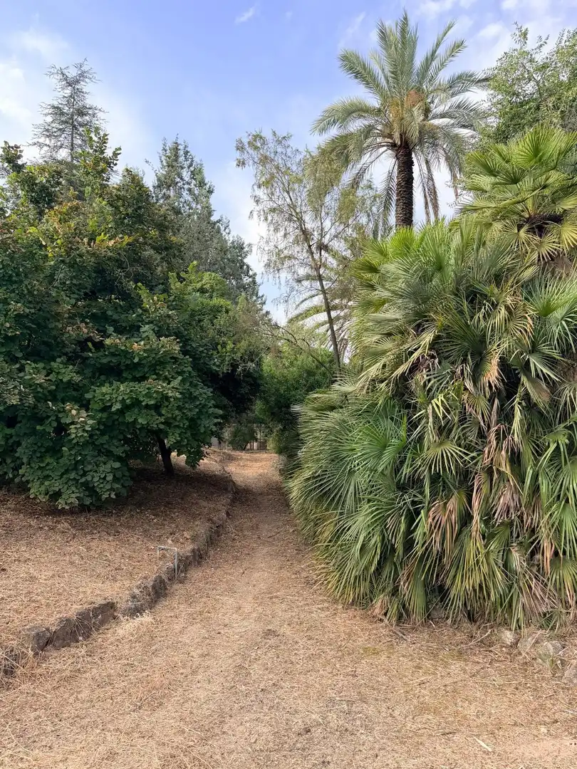Villa avec piscine à vendre à Albaida, imagen 57