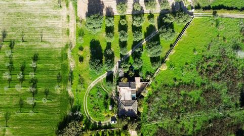 Foto 3 de Finca rústica en venda a Porreres, Illes Balears