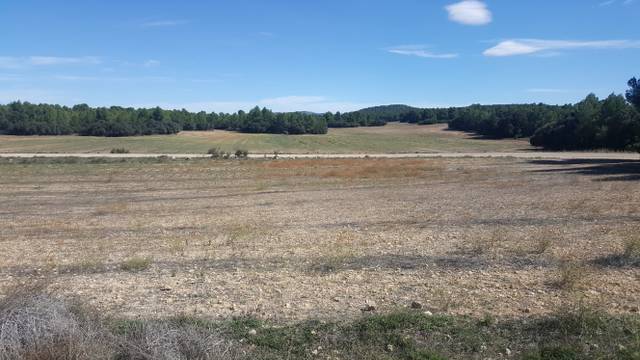 Terreno en Venta en N/A, -1 en Área Rural