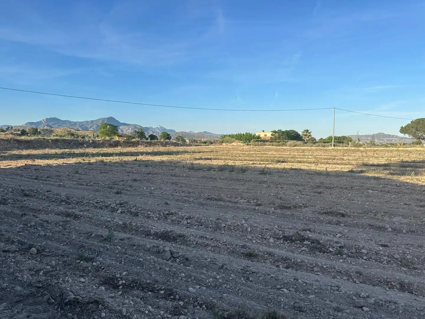 Chalet con jardín en venta en Novelda, imagen 13