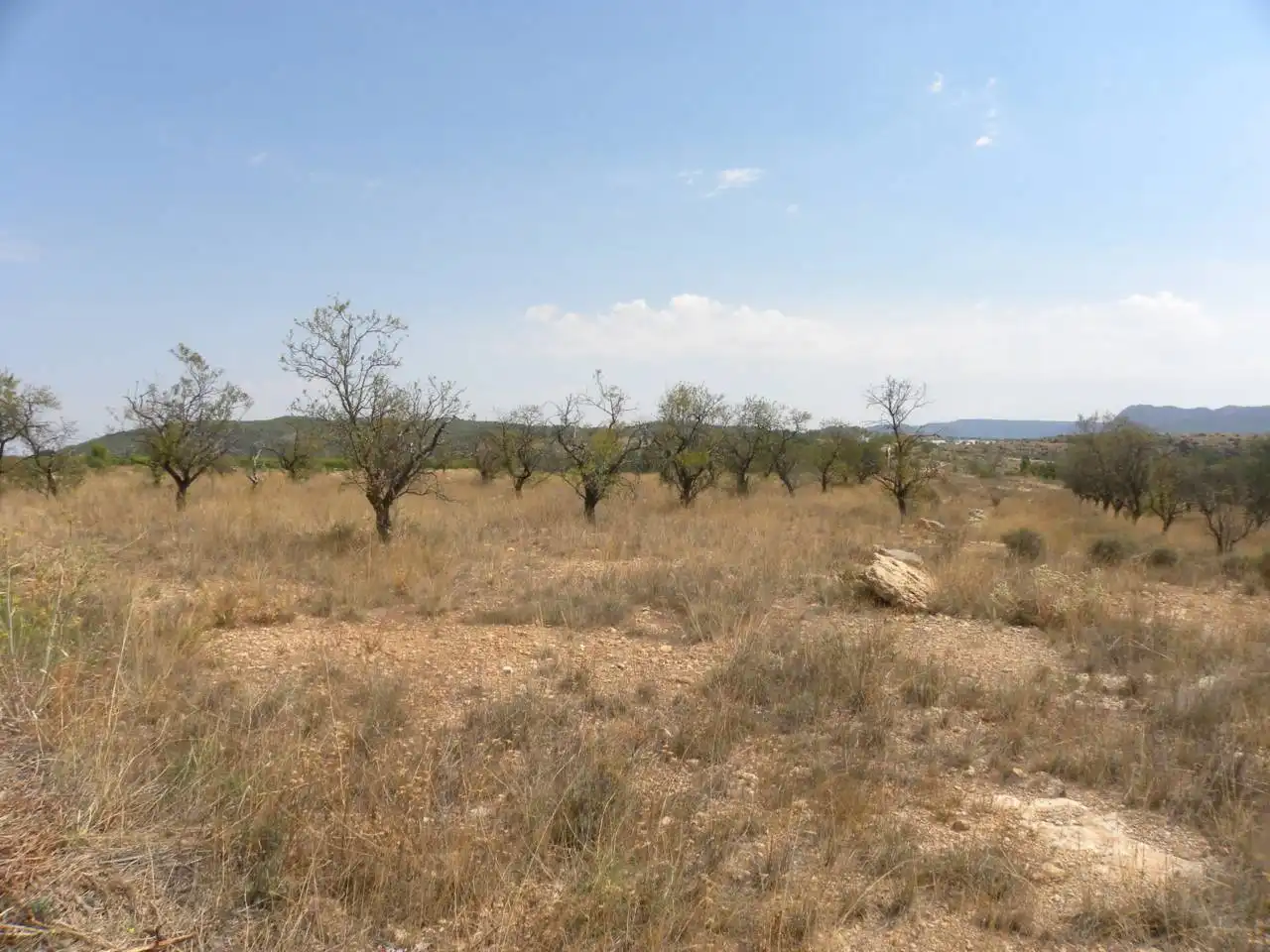Residential land for sale in Caravaca de la Cruz, imagen 16