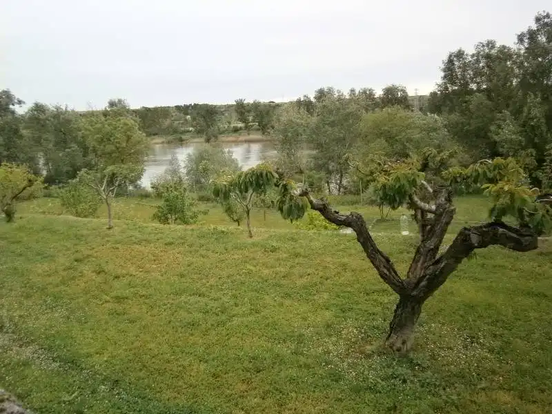 Xalet amb piscina en venda a Área Rural, imagen 39