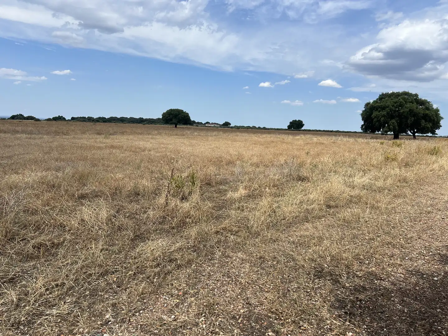 Land for sale in Calle Hernán Cortés, 20, Jaraicejo