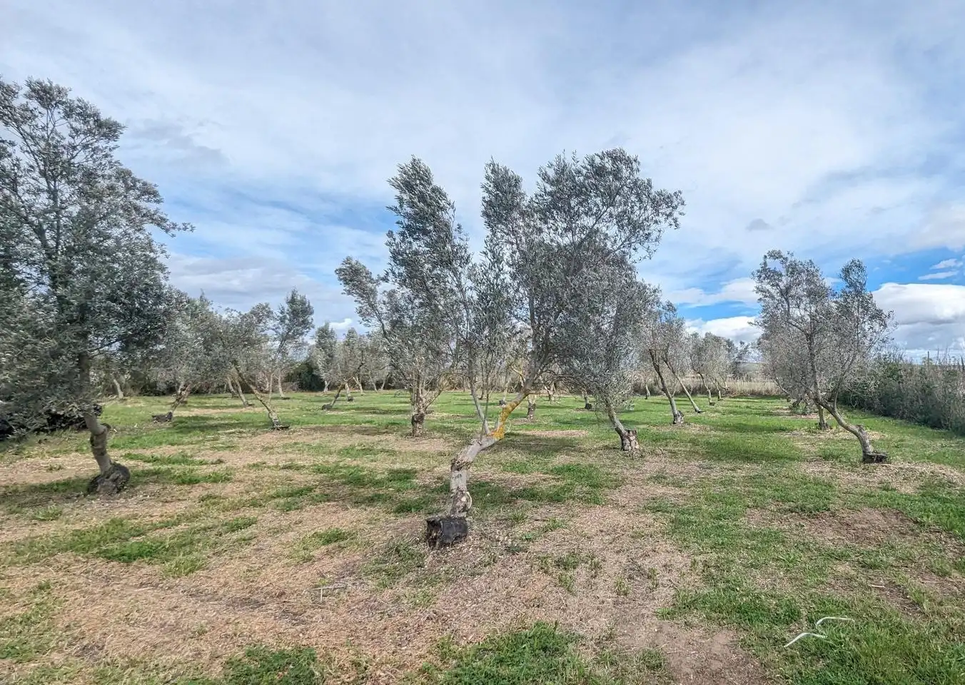 Residential for sale in Tudela