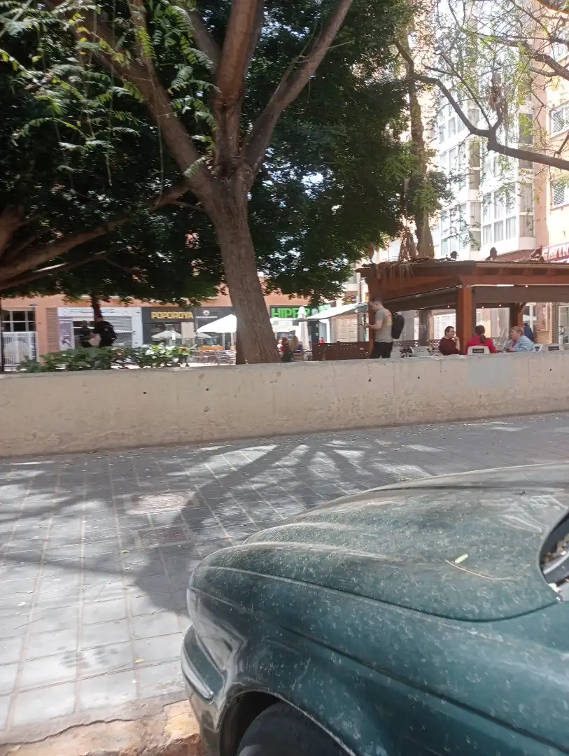 Vista exterior de Local de lloguer en Valencia amb Parquet