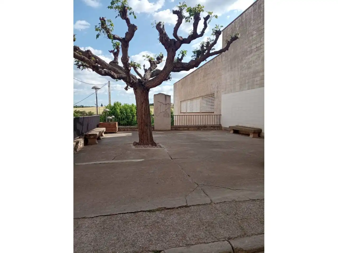 Parking of Residential for sale in La Floresta