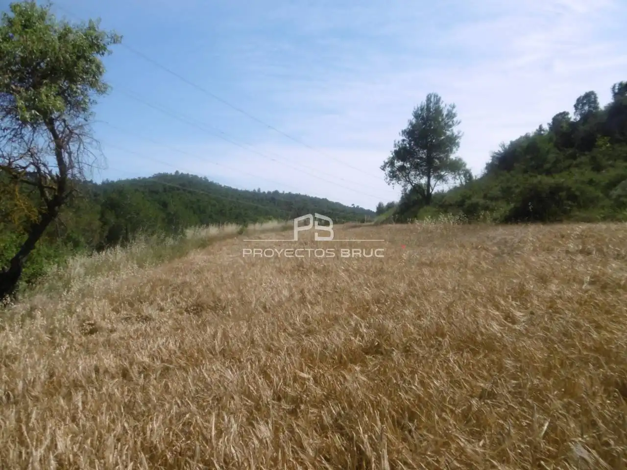 Residential land for sale in El Bruc, imagen 6