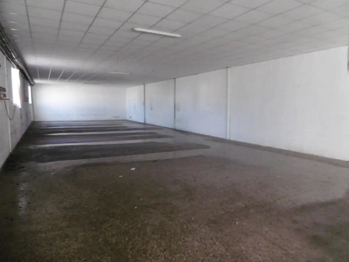 Nau industrial en venda en Elche / Elx
