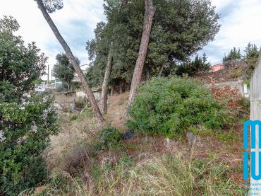 Terreno rustico in vendita a Vallgorguina