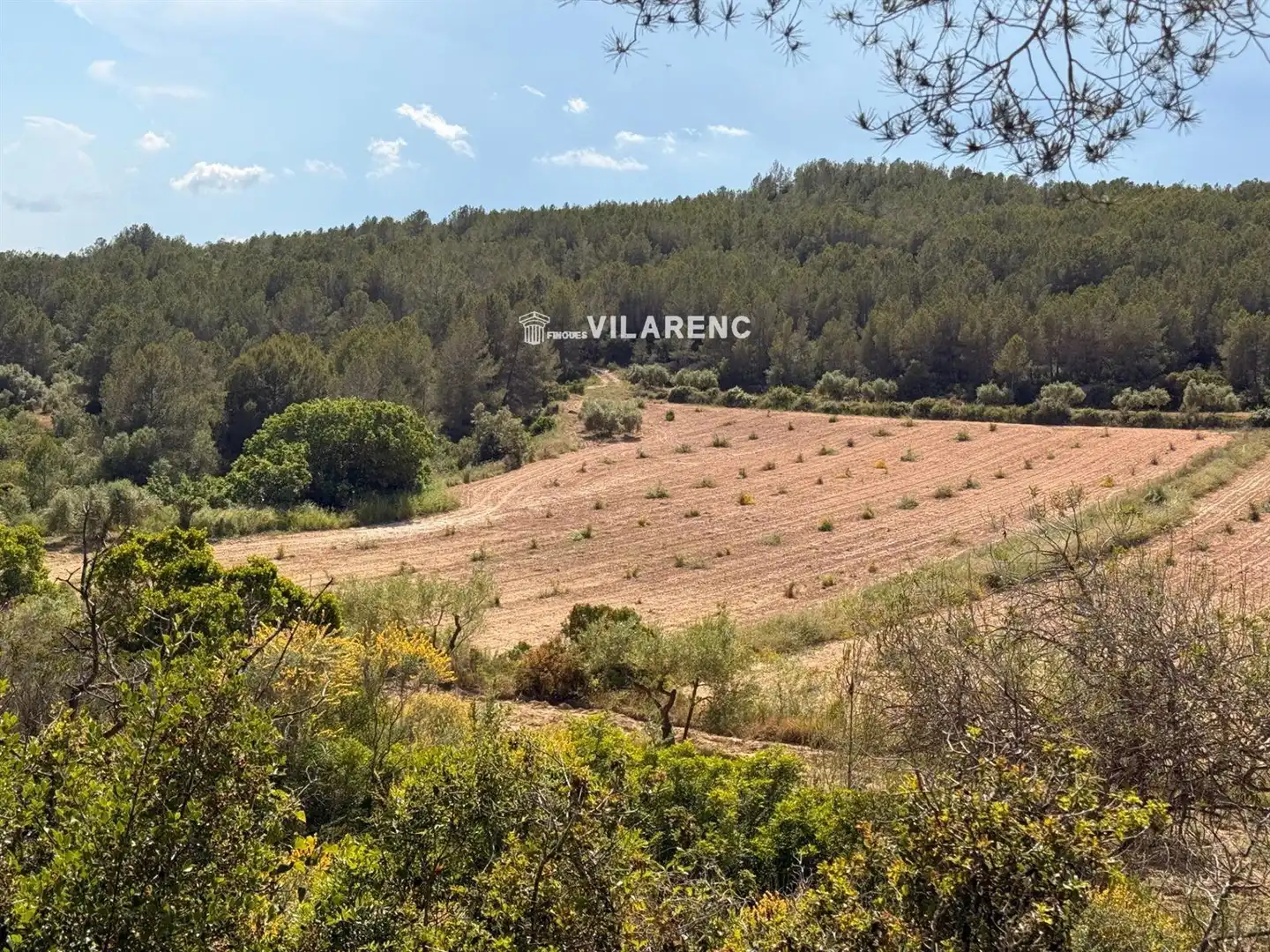 Rural land for sale in Massos de Vespella, imagen 33