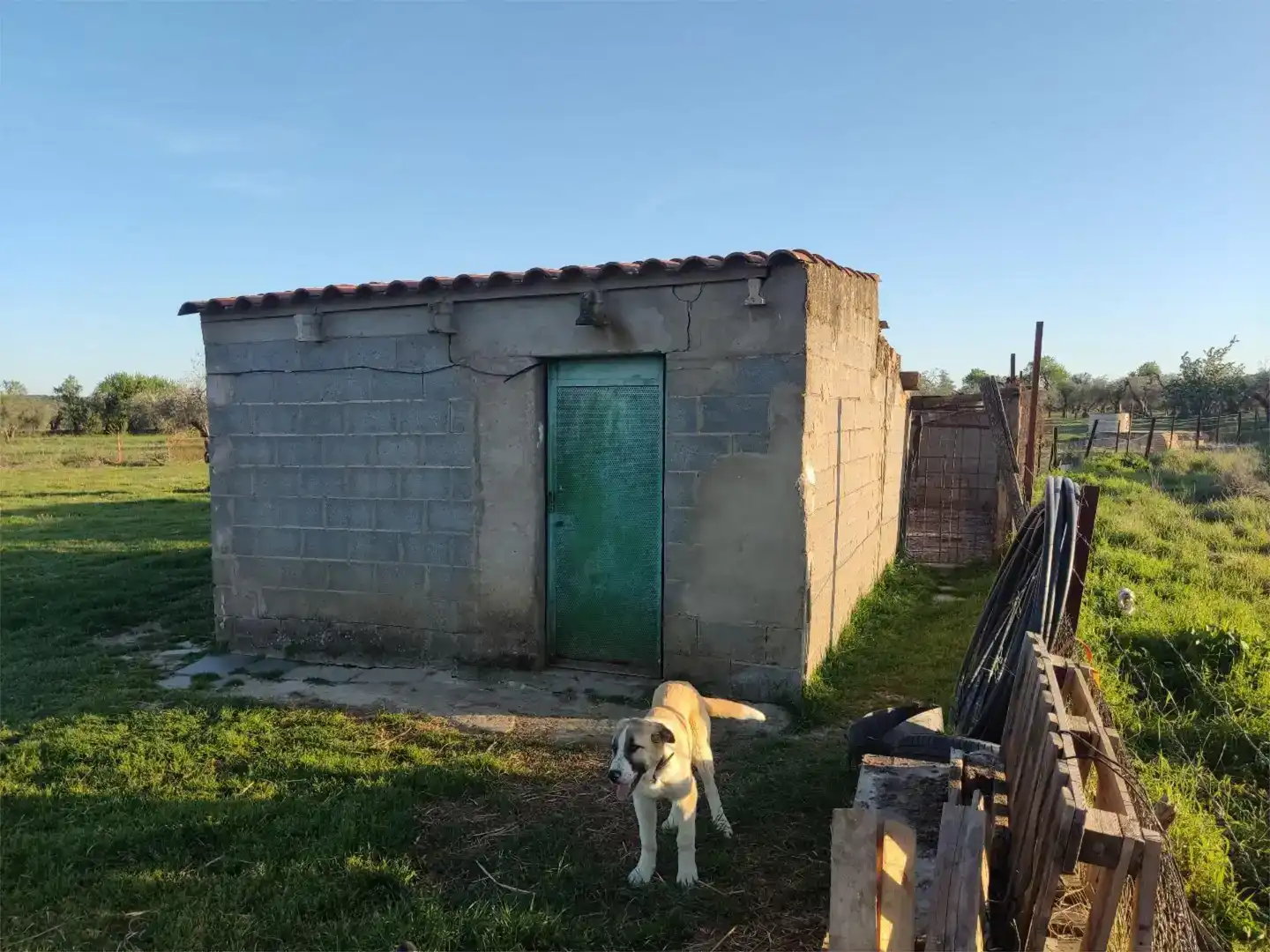 Terreno en venta en Alconera